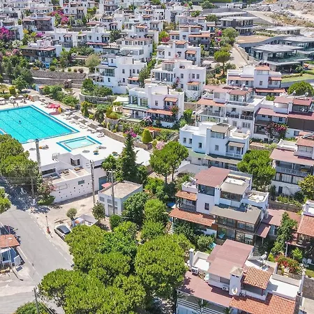 Seahorse * Bodrum